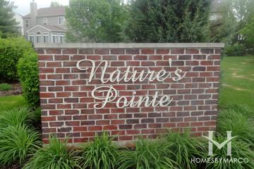 Natures Pointe