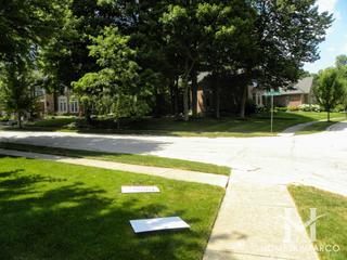 Royal Fox subdivision in St. Charles, IL