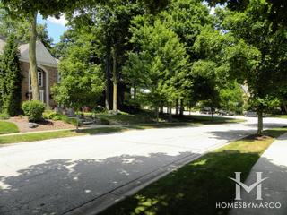 Royal Fox subdivision in St. Charles, IL