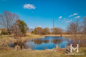 Savanna Lakes subdivision in Elgin, IL