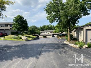 Tyler Bluff subdivision in Elgin, IL