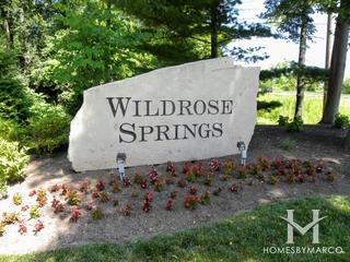 Wildrose Springs