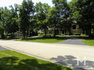 Woods of Fox Glen subdivision in St. Charles, IL