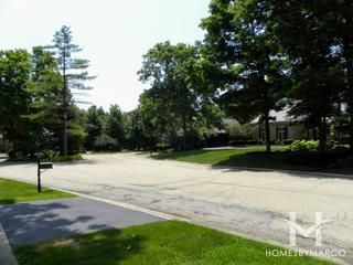 Woods of Fox Glen subdivision in St. Charles, IL