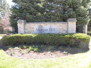 Morgan Hill