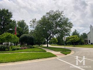 Wilding Pointe subdivision in Plainfield, IL