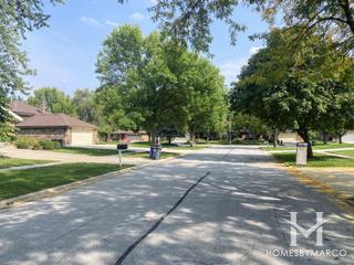 Photos of Farmingdale Ridge subdivision in Darien, IL