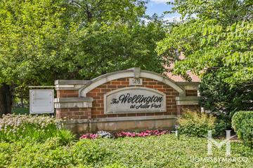 Wellington at Adler Park building in Libertyville, IL