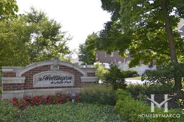 Wellington at Adler Park