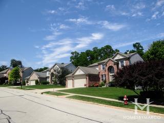 Buckingham Woods subdivision in Streamwood, IL