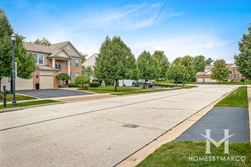 Hampton Reserve subdivision in Mundelein, IL