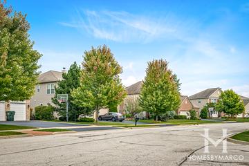 Hampton Reserve subdivision in Mundelein, IL