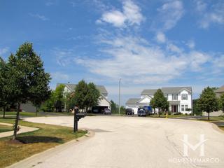 Red Wing View subdivision in Antioch, IL