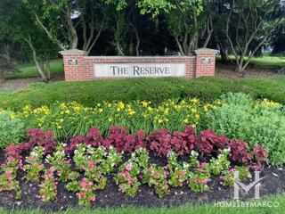 The Reserve of Elgin