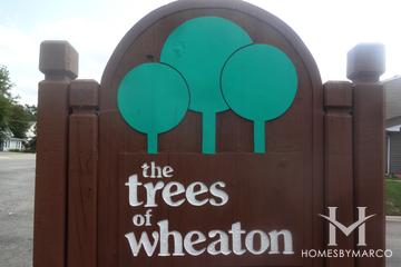 Trees of Wheaton