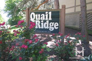 Quail Ridge subdivision in Naperville, IL