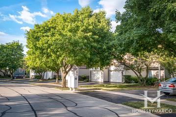 Wellington Court subdivision in Schaumburg, IL