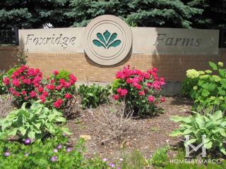 Foxridge Farms subdivision in Bolingbrook, IL