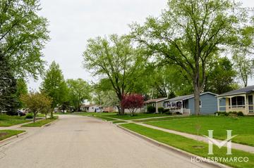 Larkdale subdivision in Wauconda, IL