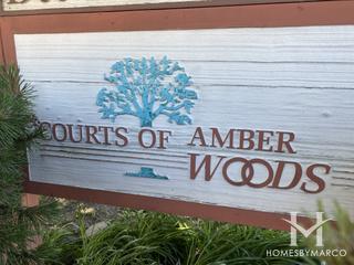 Courts of Amber Woods