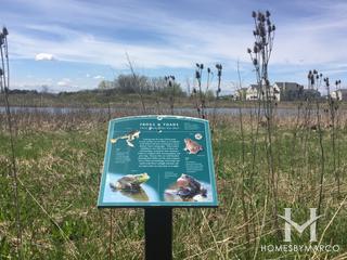 Neuhaven subdivision in Antioch, IL