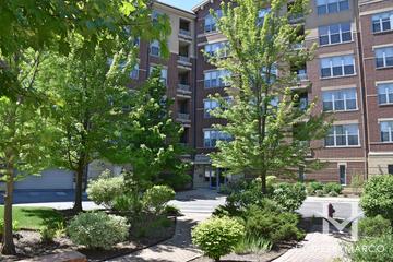 Siena At Old Orchard building in Skokie, IL