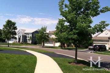 The Shires subdivision in Lake Villa, IL
