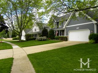 Asbury Fields subdivision in Algonquin, IL