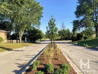 Willow on the Hill subdivision in Willow Springs, IL