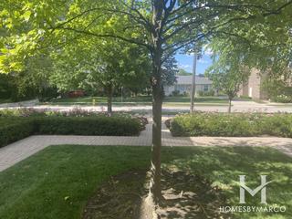 Glenwick Courte subdivision in Glenview, IL