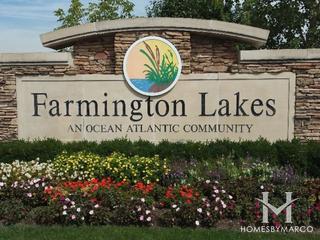 Farmington Lakes subdivision in Oswego, IL
