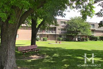 Olive Trees subdivision in Naperville, IL