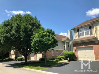 Danada Woods subdivision in Naperville, IL