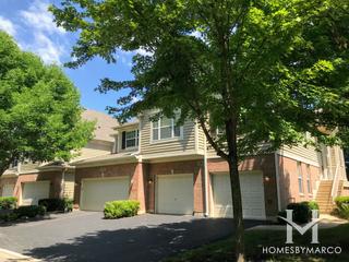 Danada Woods subdivision in Naperville, IL