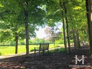 Danada Woods subdivision in Naperville, IL