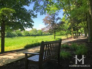 Danada Woods subdivision in Naperville, IL