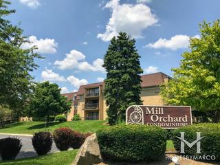 Mill Orchard