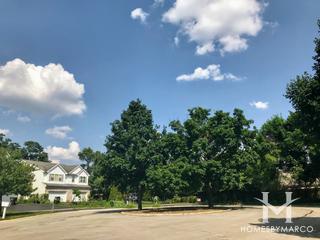 Columbia Woods subdivision in Naperville, IL