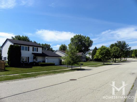 Photos of Windsor Place subdivision in Streamwood, IL