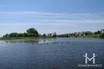 Providence subdivision in Elgin, IL
