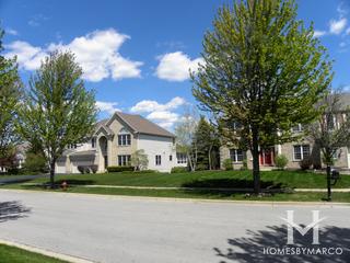 Coves subdivision in Algonquin, IL
