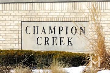 Champion Creek subdivision in Plainfield, IL