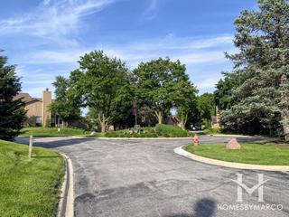 Sawmill Creek subdivision in Darien, IL