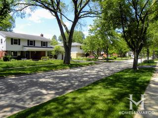 Elm Estates subdivision in Elmhurst, IL