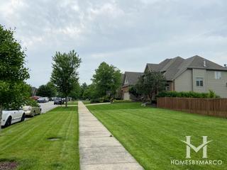 Natures Crossing subdivision in Plainfield, IL