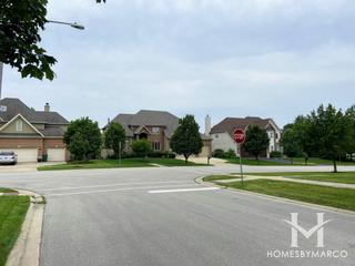 Natures Crossing subdivision in Plainfield, IL