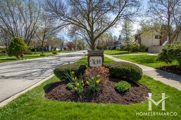 Naper Carriage Hill subdivision in Naperville, IL