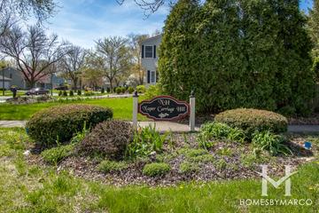 Naper Carriage Hill subdivision in Naperville, IL