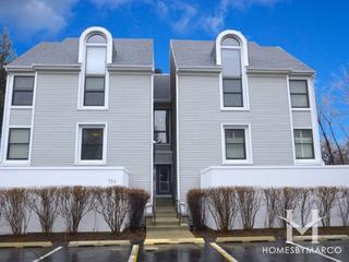 Harbor Pointe subdivision in Mundelein, IL