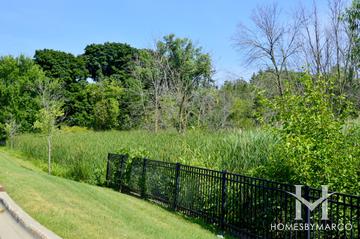 Palatine Commons subdivision in Palatine, IL